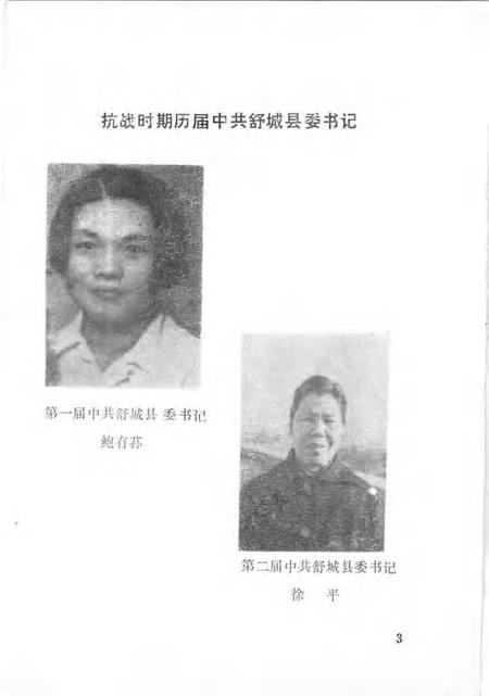 1985版舒城县革命史资料  抗日战争时期.pdf电子版_安徽省志插图5