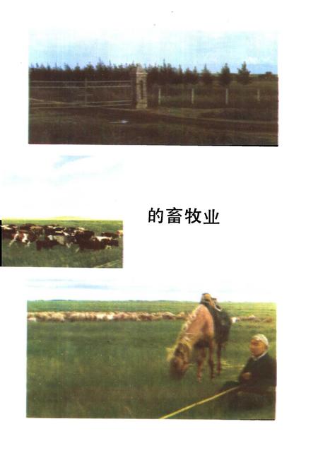 1986-鄂温克族自治旗社会经济发展概况  1981-1985.pdf电子版_内蒙古志插图5