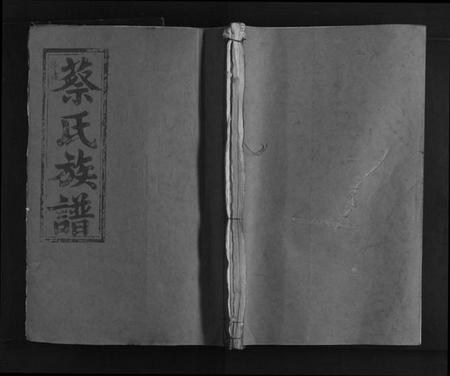 江西蔡氏族谱-蔡氏大成族谱.pdf电子版