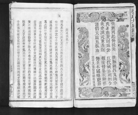 江西蔡氏族谱-蔡氏大成族谱.pdf电子版插图2