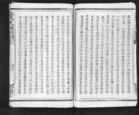 江西蔡氏族谱-蔡氏大成族谱.pdf电子版插图4