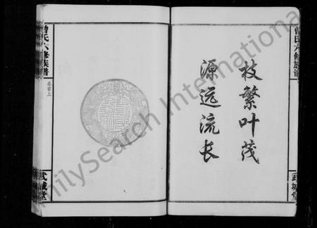 湖南曾氏族谱-曾氏六修族谱 [18卷,首2卷].pdf电子版插图5