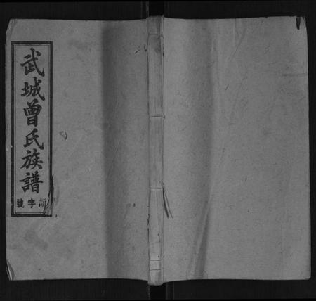 湖南曾氏族谱-武城曾氏族谱.pdf电子版