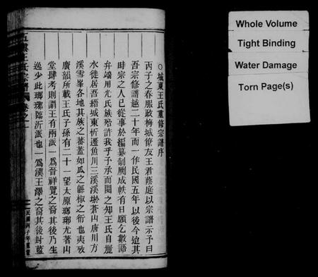 浙江王氏族谱-五云王氏宗谱 [11卷].pdf电子版插图2