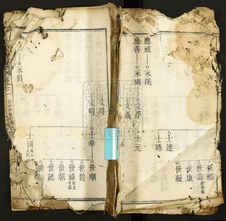 湖北蔡氏族谱-蔡氏八修族谱.pdf电子版