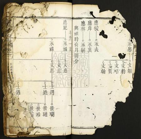 湖北蔡氏族谱-蔡氏八修族谱.pdf电子版插图2 湖北蔡氏族谱-蔡氏八修族谱.pdf电子版插图2