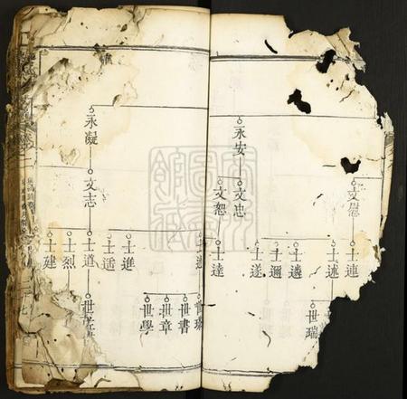 湖北蔡氏族谱-蔡氏八修族谱.pdf电子版插图3 湖北蔡氏族谱-蔡氏八修族谱.pdf电子版插图3