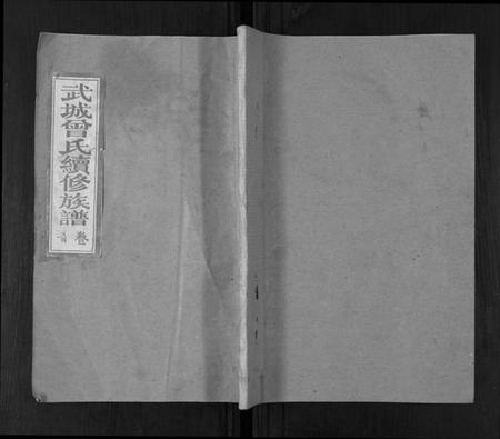 湖南曾氏族谱-武城曾氏续谱[28卷首1卷].pdf电子版