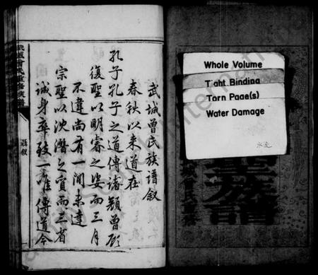 湖南曾氏族谱-武城曾氏重修族谱 [不分卷].pdf电子版插图2