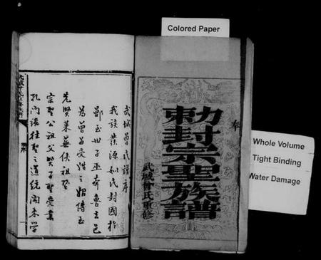 湖南曾氏族谱-武城曾氏重修族谱 [残卷].pdf电子版插图2