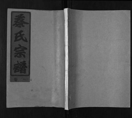 湖北蔡氏族谱-蔡氏宗谱[22卷].pdf电子版