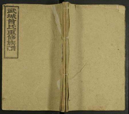 湖南曾氏族谱-武城曾氏重修族谱 [不分卷].pdf电子版