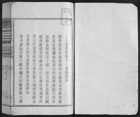 江西曾氏族谱-宁都曾坊村曾氏十一修族谱[不分卷].pdf电子版插图1