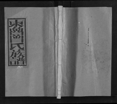 江西曾氏族谱-东鲁曾氏士祖九修族谱.pdf电子版