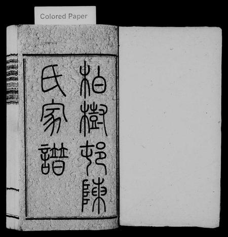 湖南陈氏族谱-柏树邨陈氏家谱 [14章].pdf电子版插图1