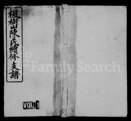 湖南陈氏族谱-枫树山陈氏续修支谱 [11卷,首3卷].pdf电子版