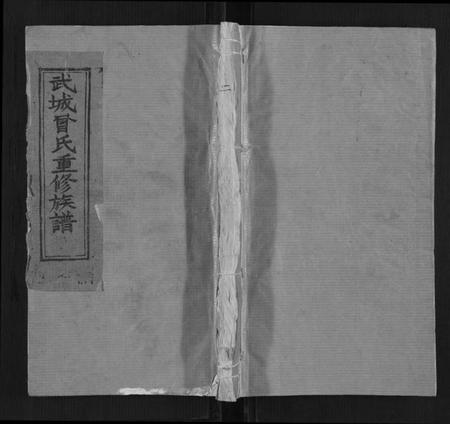 江西曾氏族谱-武城曾氏宗谱[不分卷].pdf电子版