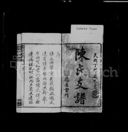 湖南陈氏族谱-枫树山陈氏续修支谱 [11卷,首3卷].pdf电子版插图1