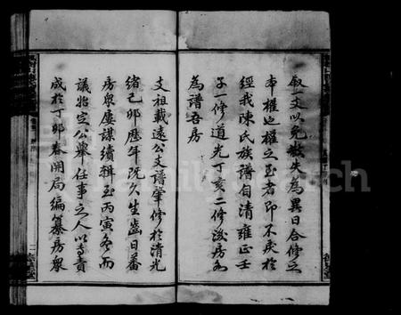 湖南陈氏族谱-枫树山陈氏续修支谱 [11卷,首3卷].pdf电子版插图3