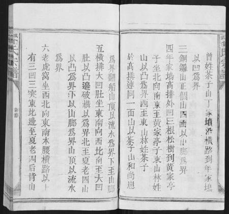 江西曾氏族谱-武城曾氏宗谱[不分卷].pdf电子版插图4