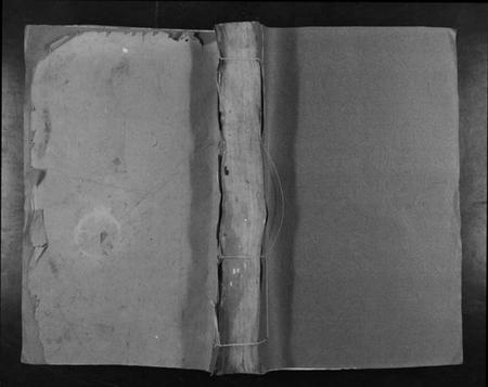 江西曾氏族谱-西昌下泽曾氏族谱[不分卷].pdf电子版