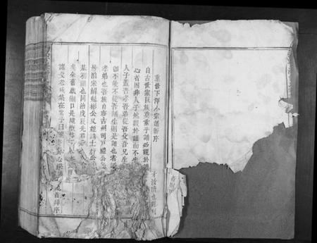 江西曾氏族谱-西昌下泽曾氏族谱[不分卷].pdf电子版插图2