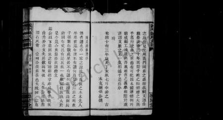 湖南陈氏族谱-义门陈氏支谱 [26卷,及卷首].pdf电子版插图2