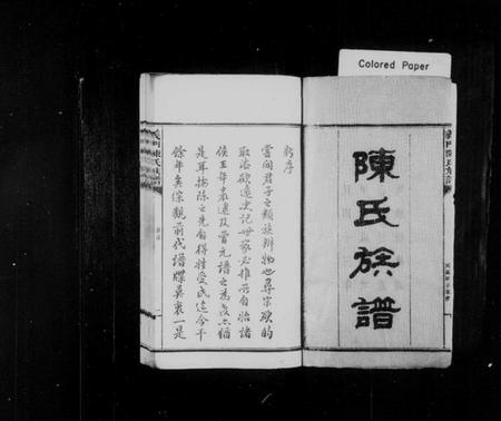 湖南陈氏族谱-义门陈氏族谱 [10卷,首3卷].pdf电子版插图2