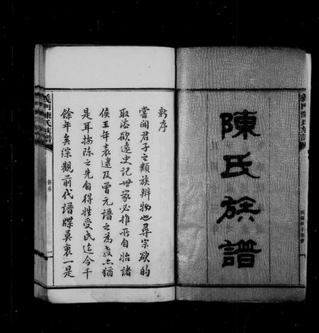 湖南陈氏族谱-义门陈氏族谱 [10卷,首3卷].pdf电子版插图3