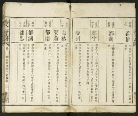 湖南陈氏族谱-陈氏三修族谱 [残卷].pdf电子版插图2