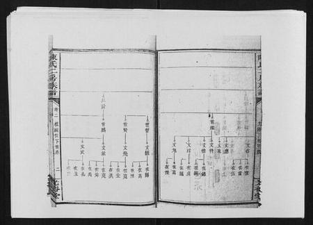 湖南陈氏族谱-陈氏二房族谱.pdf电子版插图2