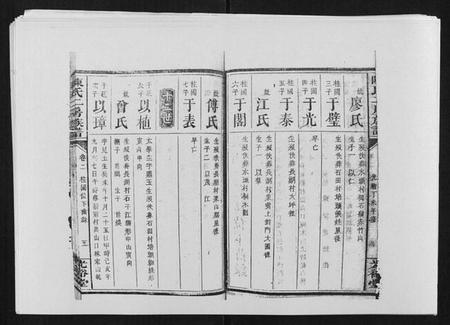 湖南陈氏族谱-陈氏二房族谱.pdf电子版插图5