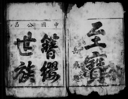 浙江刘氏族谱-刘氏大成宗谱.pdf电子版插图2