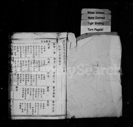 中国巢氏族谱-巢氏宗谱.pdf电子版插图1