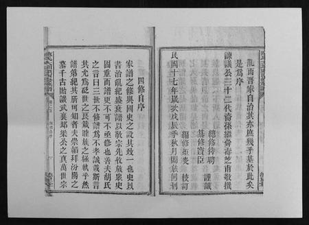 湖南陈氏族谱-陈氏大圳头四修族谱[8卷].pdf电子版插图4