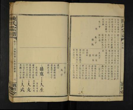 湖南陈氏族谱-陈氏宗谱 [残7卷].pdf电子版插图3