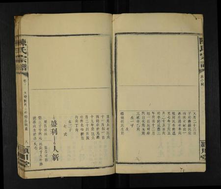 湖南陈氏族谱-陈氏宗谱 [残7卷].pdf电子版插图4