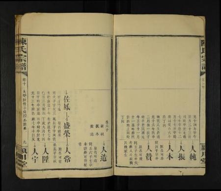 湖南陈氏族谱-陈氏宗谱 [残7卷].pdf电子版插图5