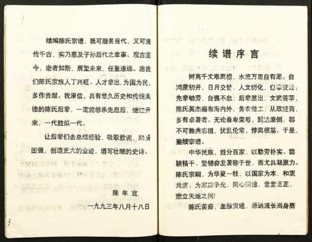 湖北陈氏族谱-陈氏宗谱.pdf电子版插图4