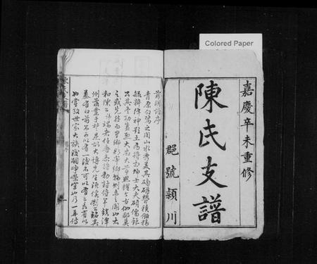 湖南陈氏族谱-陈氏支谱 [卷数不详].pdf电子版插图1