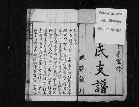 湖南陈氏族谱-陈氏支谱 [卷数不详].pdf电子版插图3