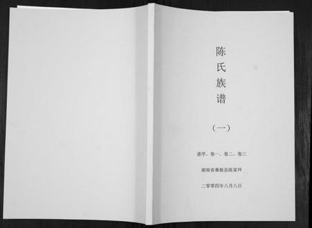 湖南陈氏族谱-陈氏族谱.pdf电子版