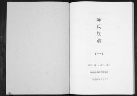 湖南陈氏族谱-陈氏族谱.pdf电子版插图1