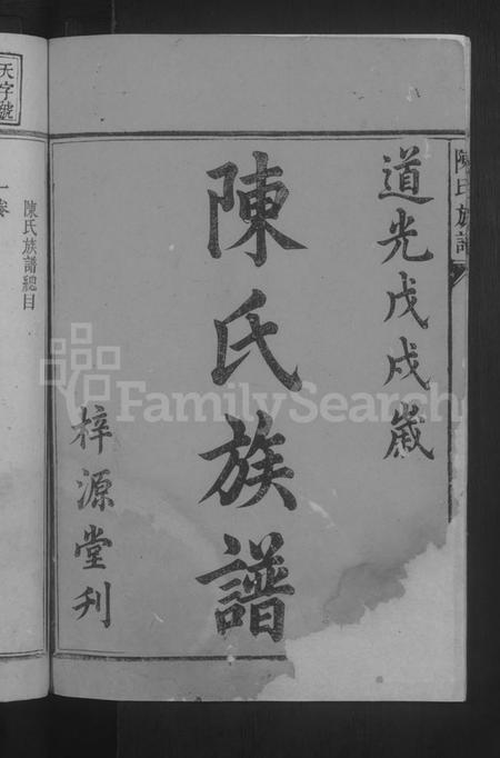 湖南陈氏族谱-陈氏族谱 [5卷].pdf电子版插图2