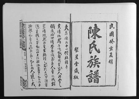 湖南陈氏族谱-鵆山大泉陈氏十一修族谱[43卷首1卷].pdf电子版