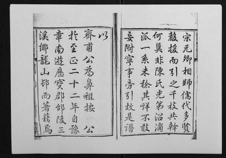 湖南陈氏族谱-龙溪陈氏族谱[2卷首末各1卷].pdf电子版插图2