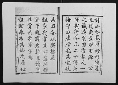 湖南陈氏族谱-龙溪陈氏族谱[2卷首末各1卷].pdf电子版插图4