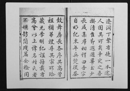 湖南陈氏族谱-龙溪陈氏族谱[2卷首末各1卷].pdf电子版插图5