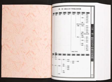 江西陈氏族谱-宜春庄江西江西宜春陈氏族谱.pdf电子版插图1 江西陈氏族谱-宜春庄江西江西宜春陈氏族谱.pdf电子版插图1