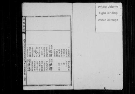 湖南谌氏族谱-谌氏族谱[残卷].pdf电子版插图1